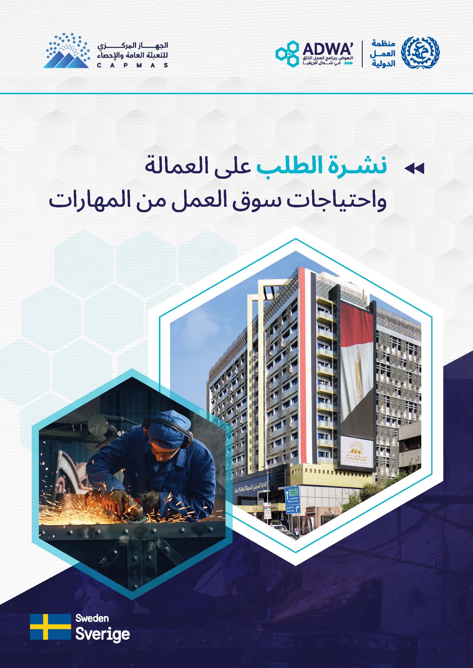 الطلب على العمالة واحتياجات سوق العمل من المهارات